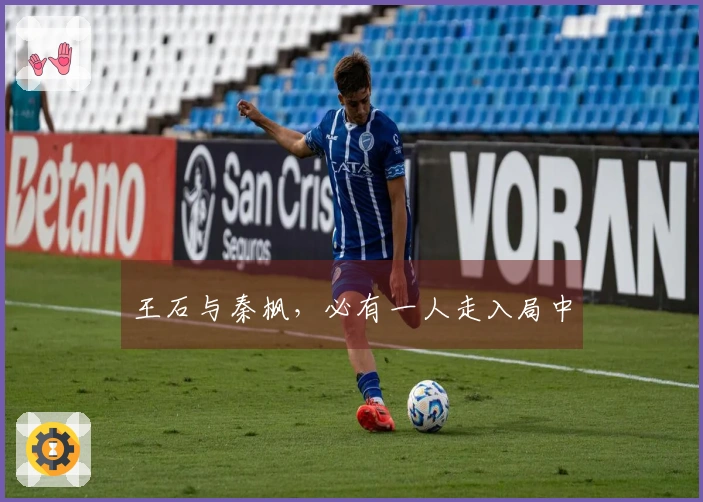 王石与秦枫，必有一人走入局中