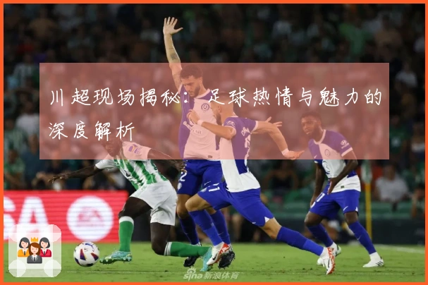 川超现场揭秘：足球热情与魅力的深度解析