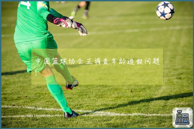 中国篮球协会正调查年龄造假问题！